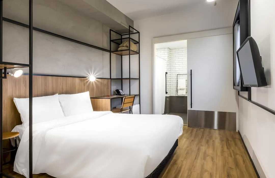 Ibis Aruja-1